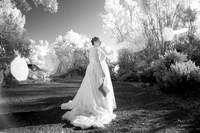 BG018_IR0017