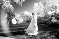 BG017_IR0015