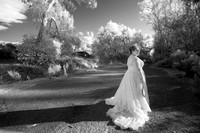 BG015_IR0008