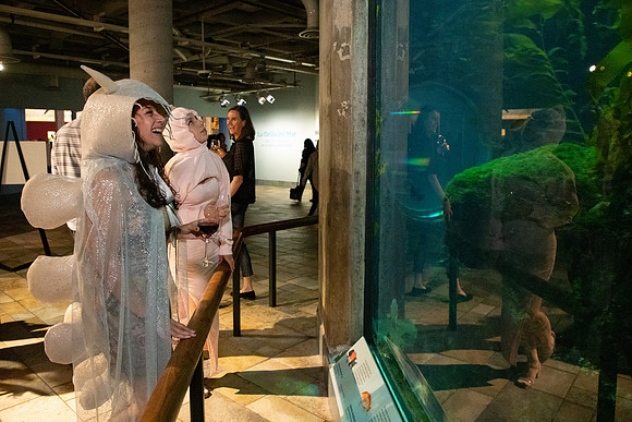 ELL51665