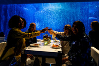 Aquarium