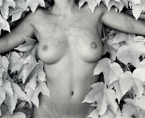 KataGrapeLeaves
