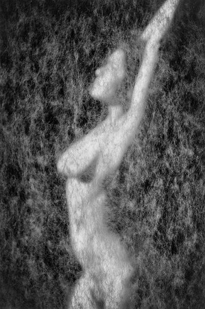 644A4924-HDR