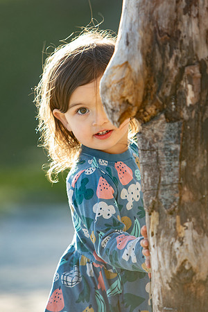 Harper039_ELL59112